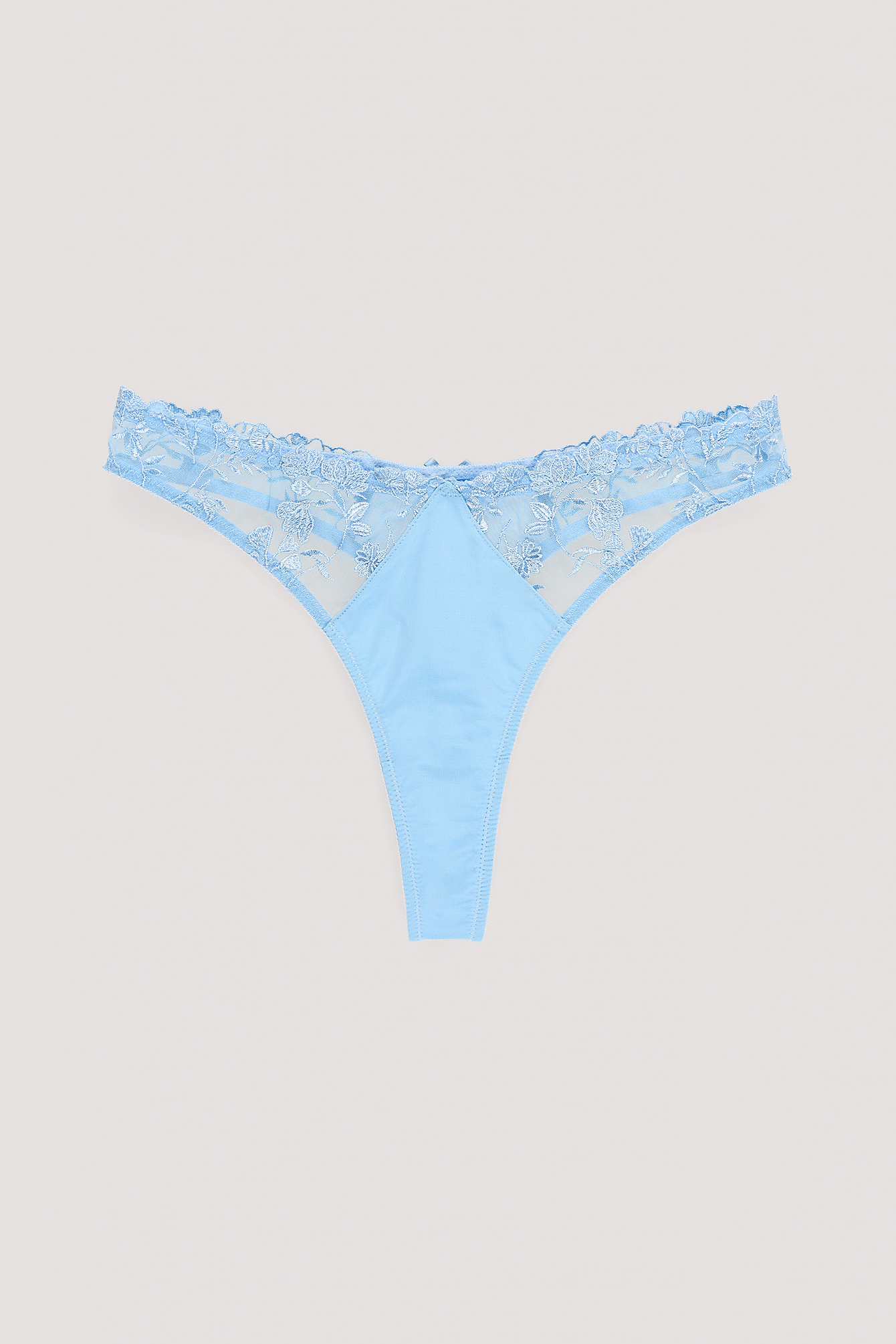 Blue Transparent Panties With Embroidery On White Background Stock